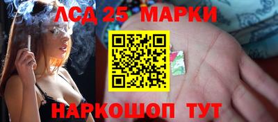 гидропоника Сланцы