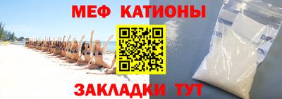 стаф Славгород