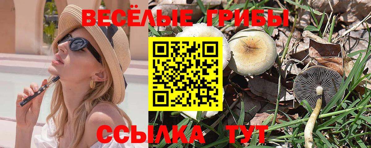 Псилоцибиновые грибы мицелий  купить закладку  Аша  Вход с VPN 